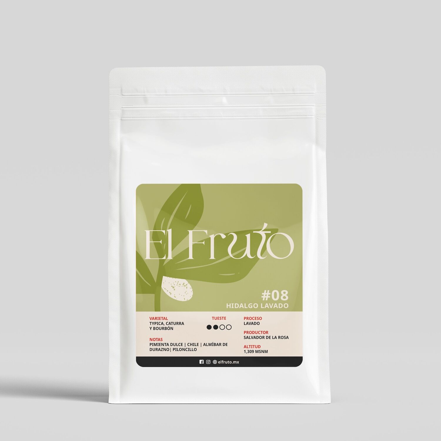 #08 Café de Origen Hidalgo Proceso Lavado