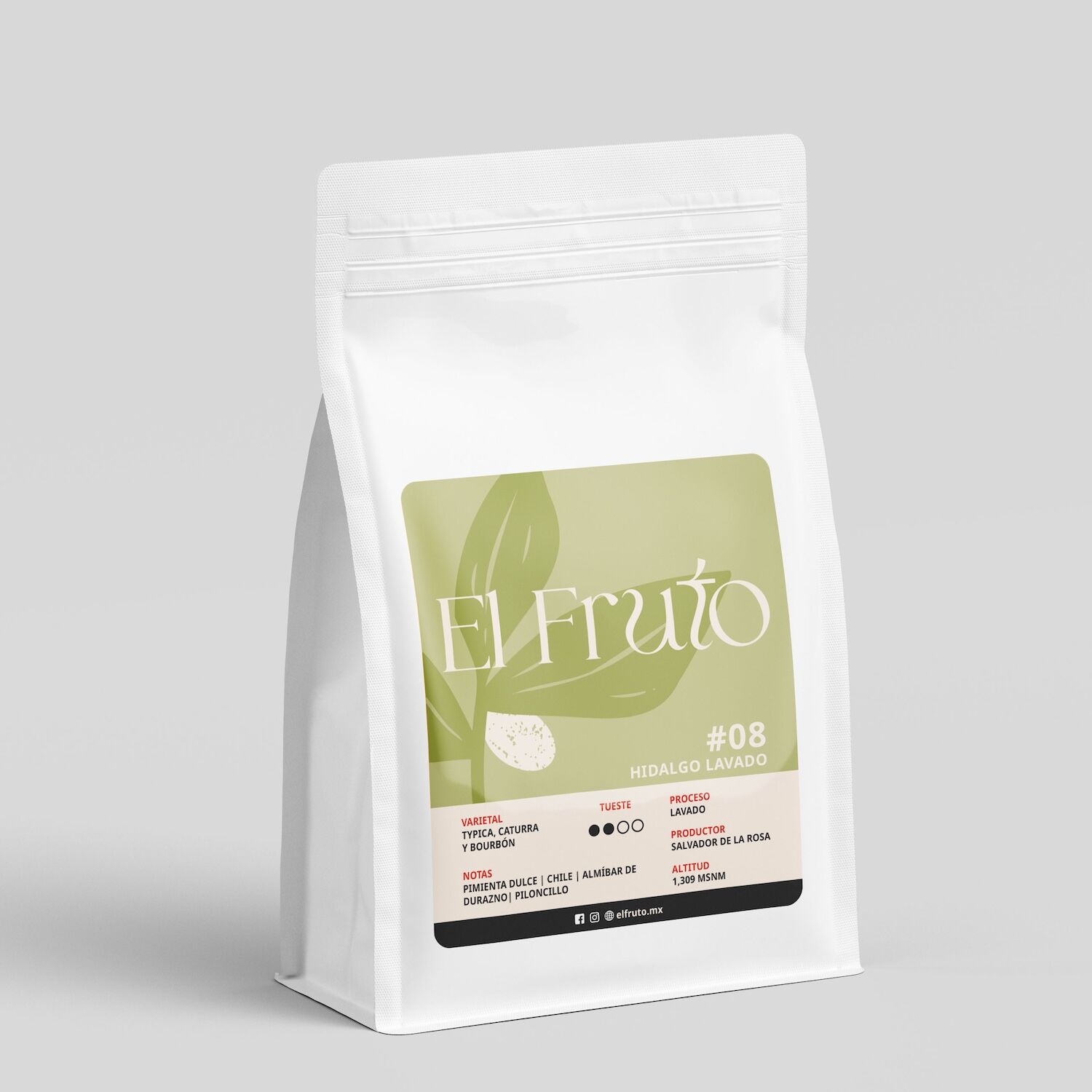 #08 Café de Origen Hidalgo Proceso Lavado